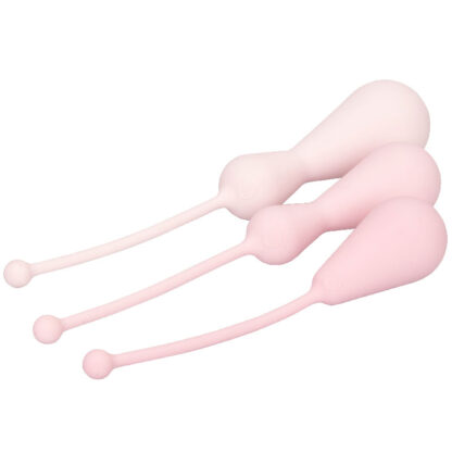 Inspire Weighted Silicone Kegel Training Kit - Image 3